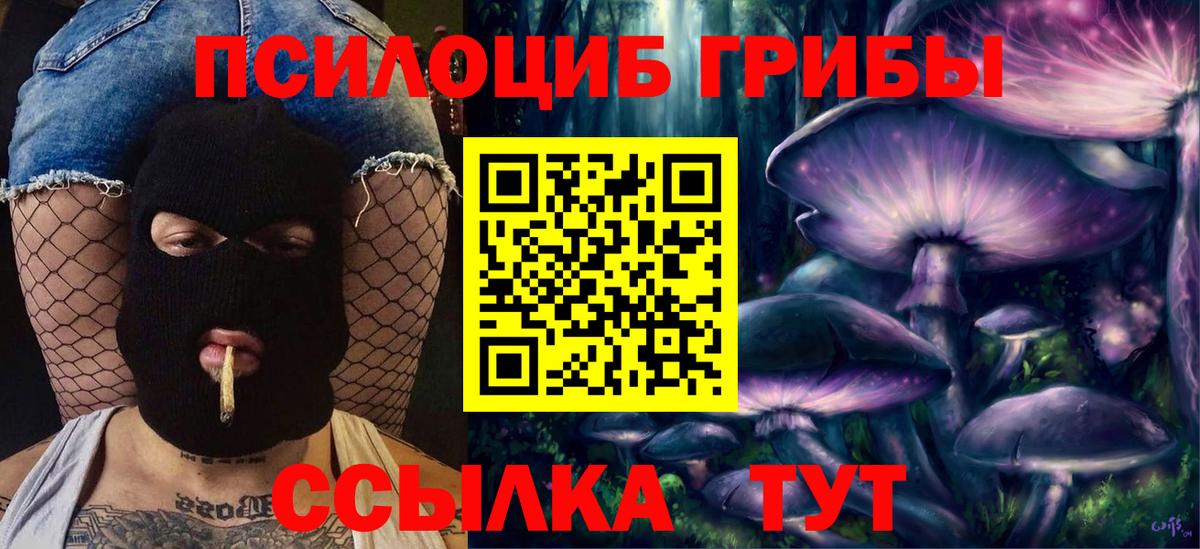Галлюциногенные грибы мухоморы Елизово