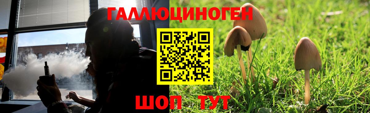 Псилоцибиновые грибы прущие грибы  Галлюциногенные грибы Psilocybine cubensis  Елизово  Вход с VPN 